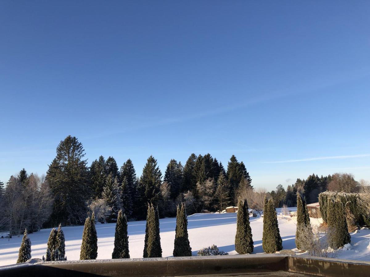 Villa Bergstern à Freudenstadt Extérieur photo